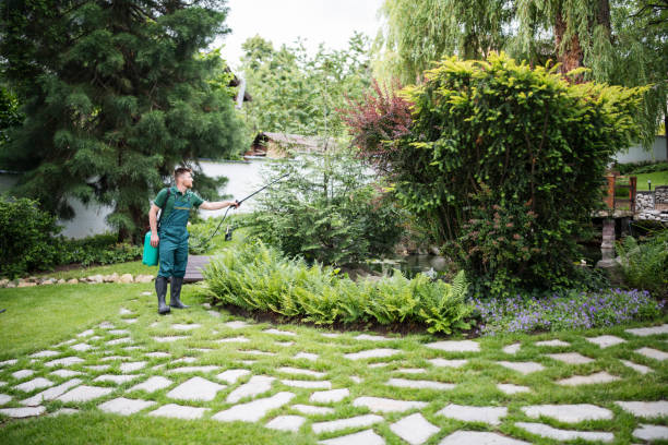 Professional Pest Control in Gloverville, SC
