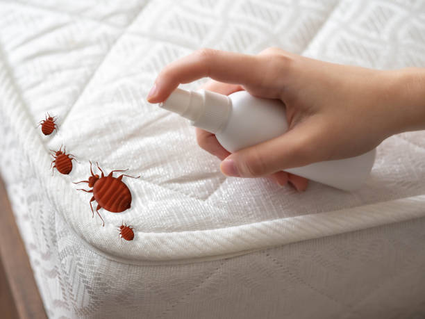 Pest Prevention Services in Gloverville, SC